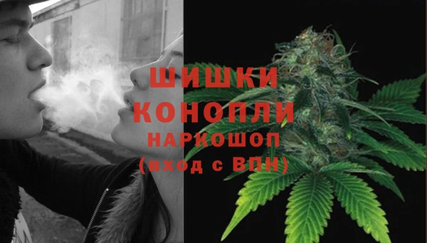 винт Лагань