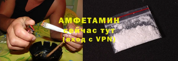 винт Лагань