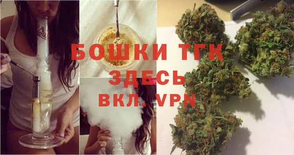 винт Лагань