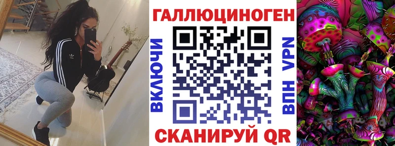 Псилоцибиновые грибы Psilocybe Котельниково